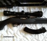 Ruger 10/22 with Scope, case, and 500 rounds.